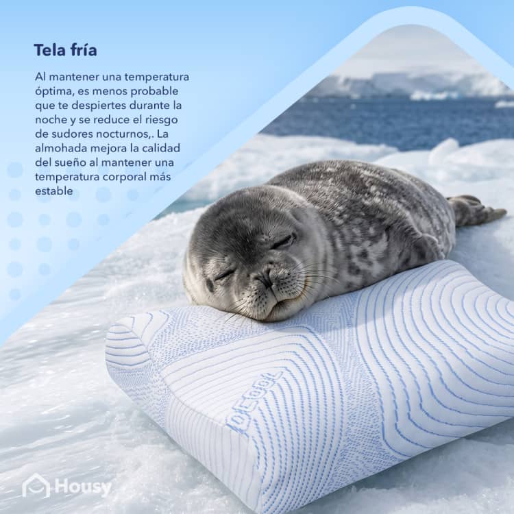 Pack 2 Almohadas Cervical Fresh